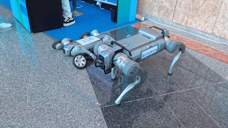 出典 私ミシェリーの撮影. なかなかのスピードで走るカメラ付き犬型ロボット